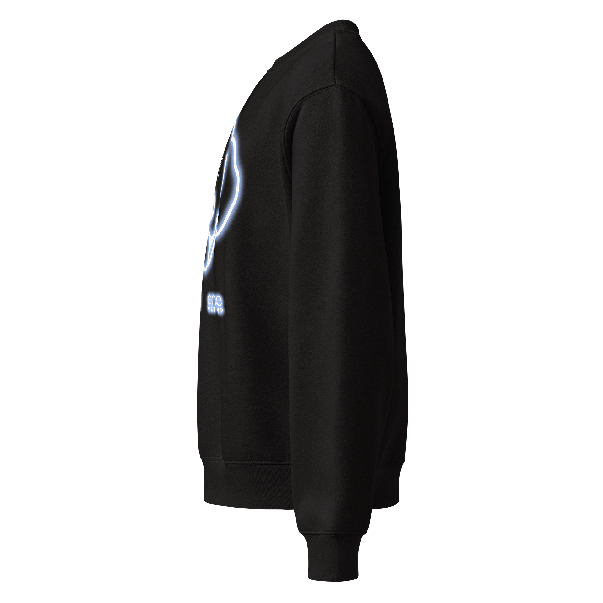 Ovation Electric Dog Oversized Heavyweight Bella+Canvas Sweatshirt product image (4)