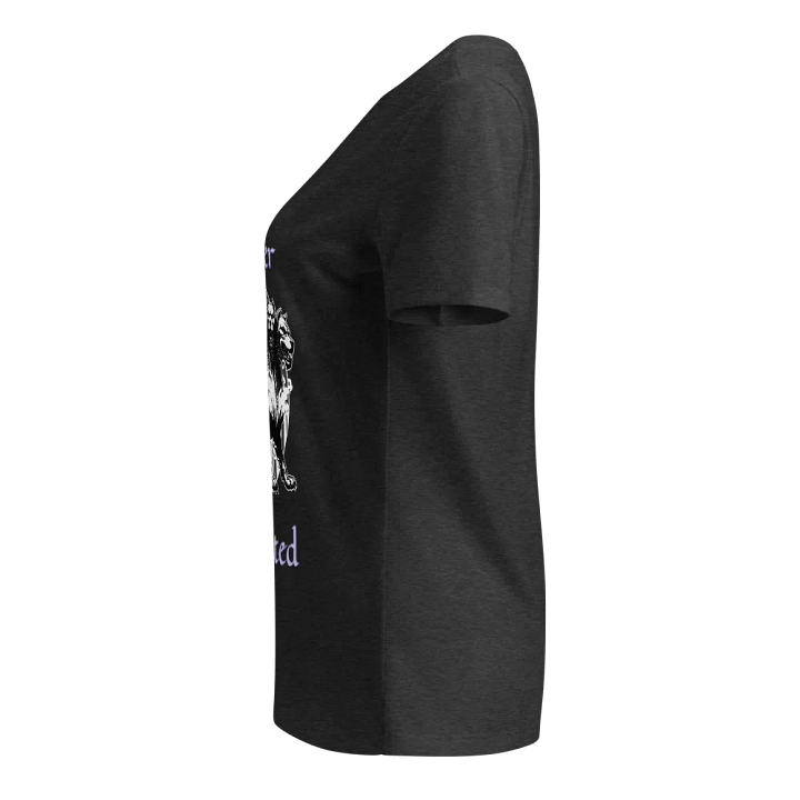 Forever Protected V-Neck Tee product image (28)