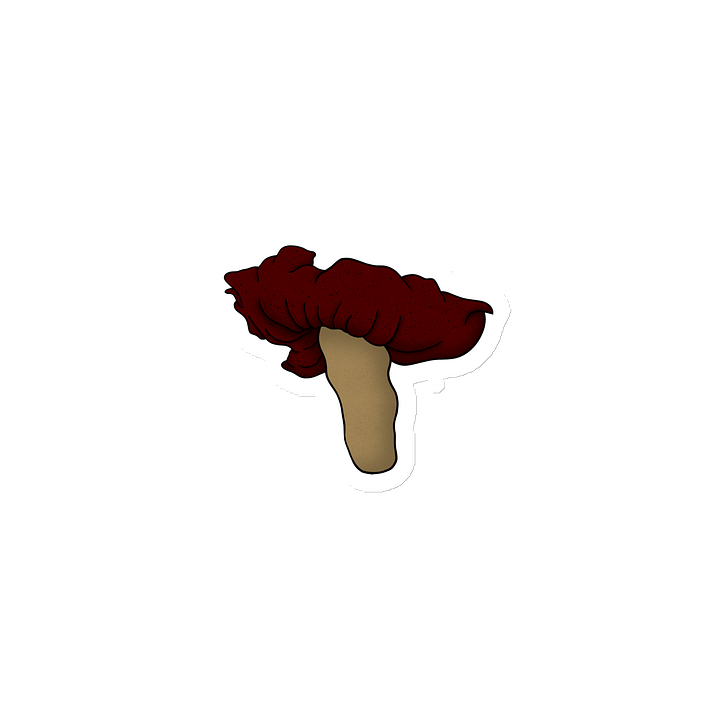 Whimsical Mushroom Magnet product image (1)