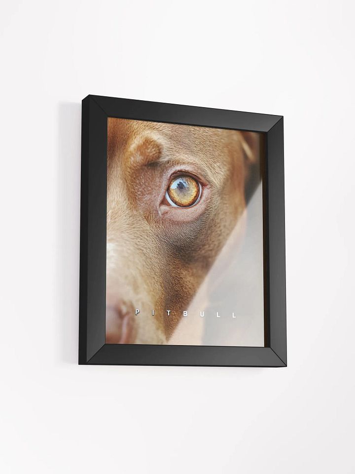 Pitbull's Eye Matte Poster product image (22)
