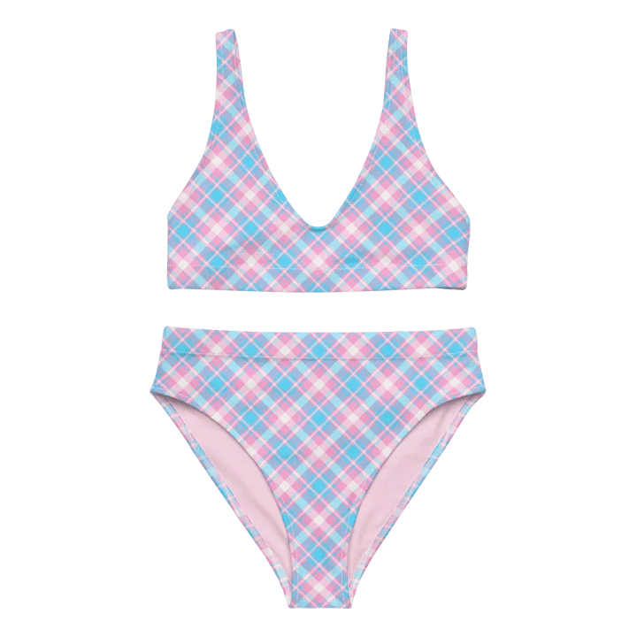 Baby Blue, Pink, and White Plaid Bikini product image (2)
