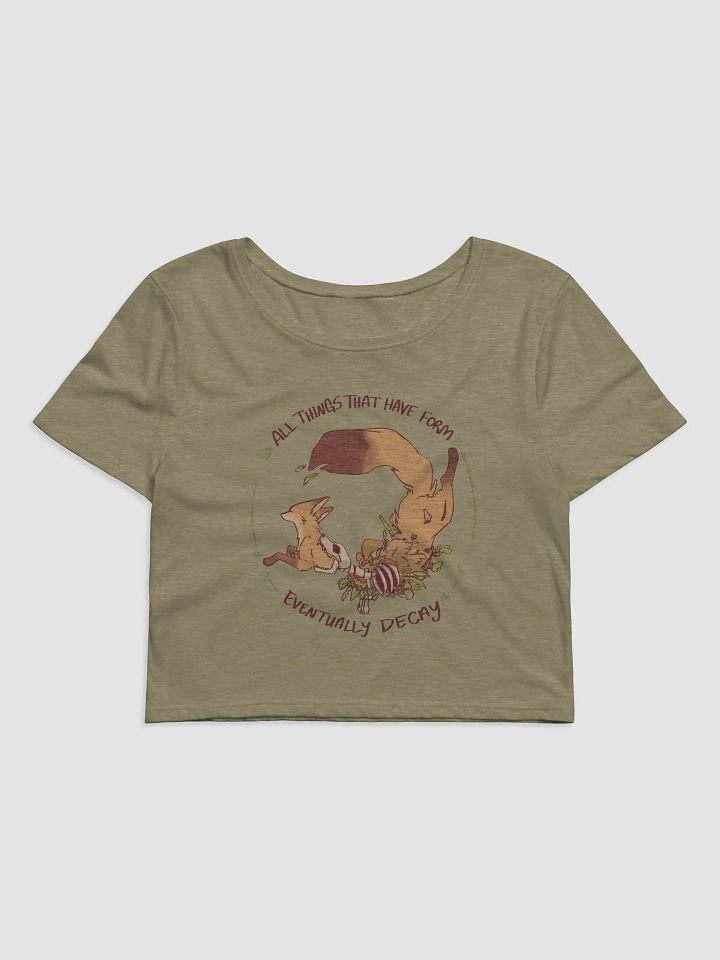All Things Decay Croptop product image (2)