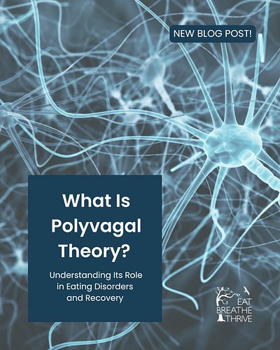Polyvagal theory was developed by neuroscientist Dr. Stephen Porges. At the heart of the theory is the vagus nerve, a major n...