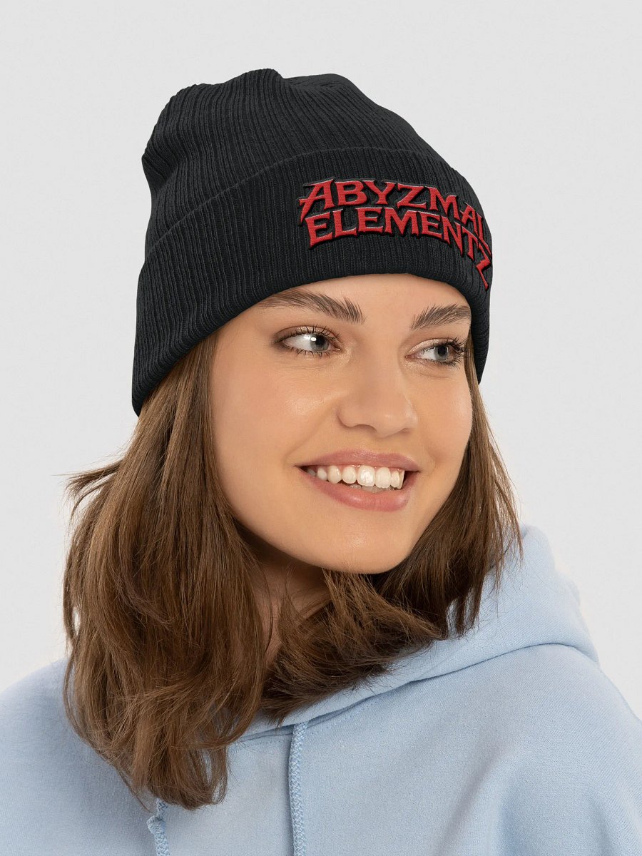 AE Logo Beanie product image (7)