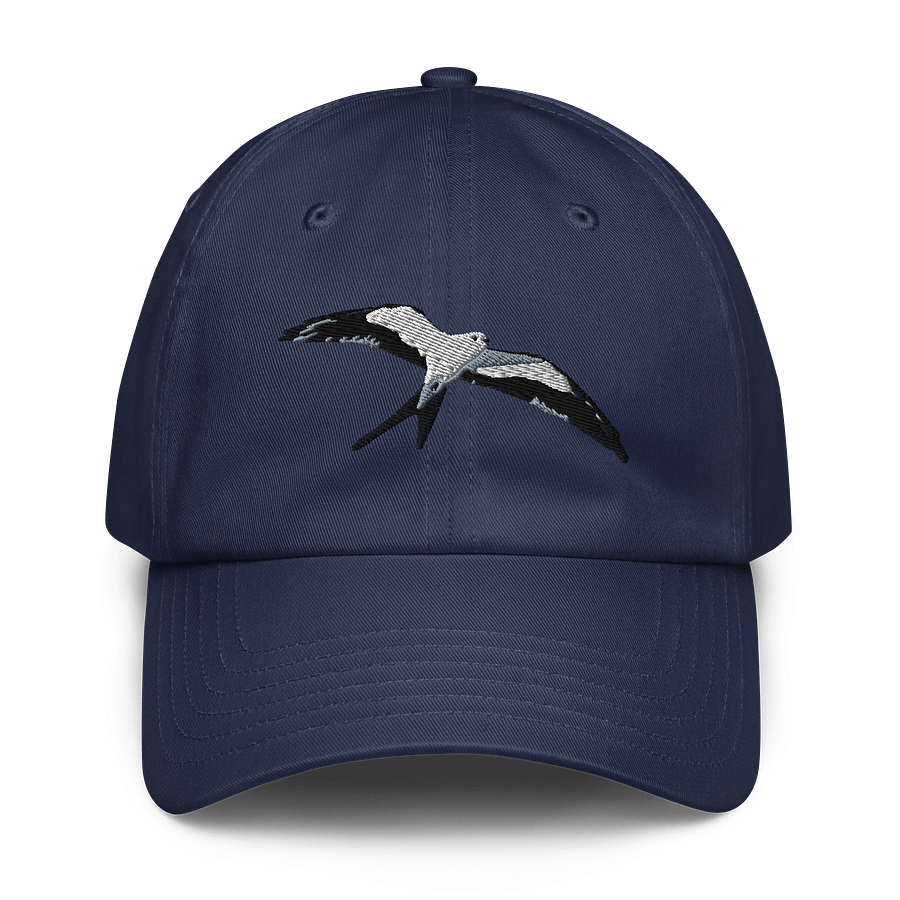 Swallow Tailed Kite Flight of Freedom Embroidered Dad Hat product image (9)