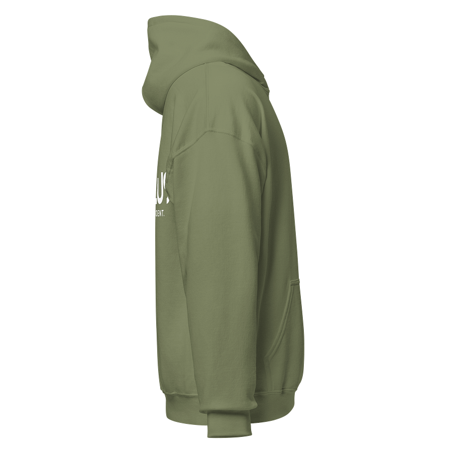 Gallus Hoodies - Embroidery Minimalistic product image (36)