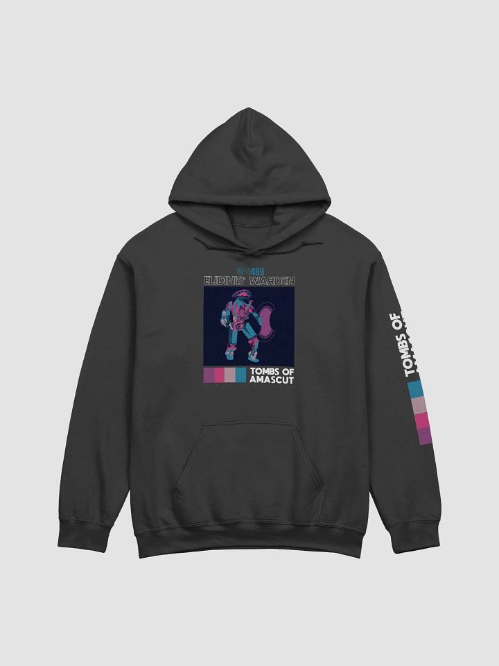 Elidinis Warden - Hoodie (Black) product image (1)