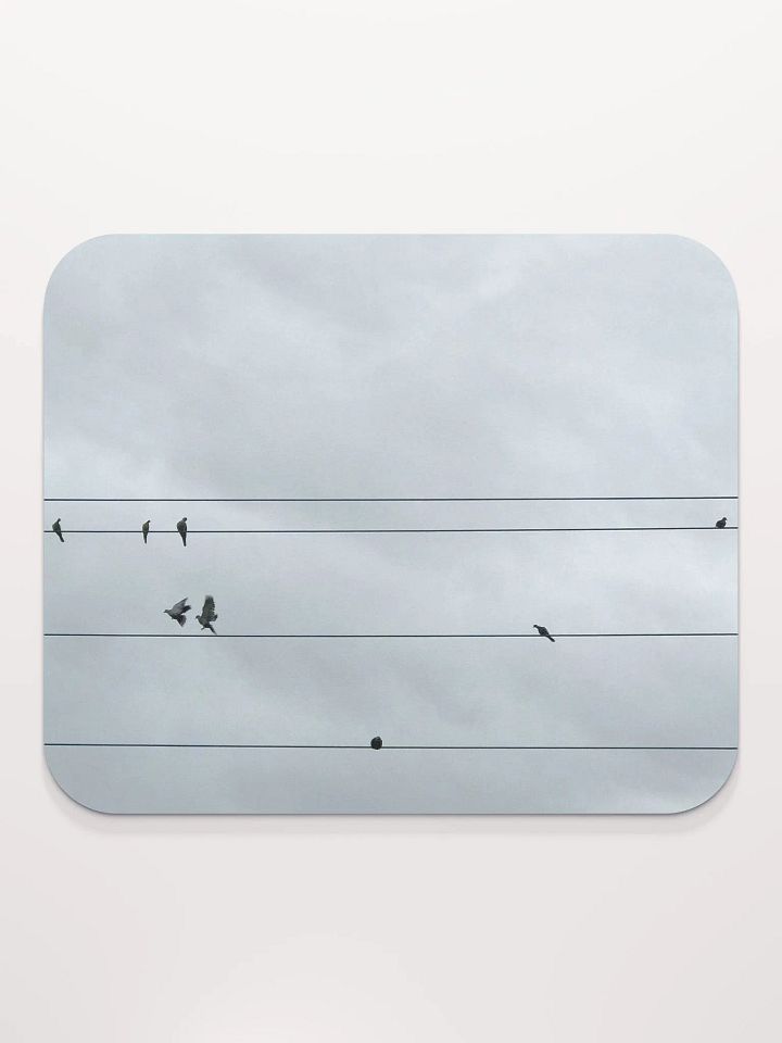 Bird Power product image (2)