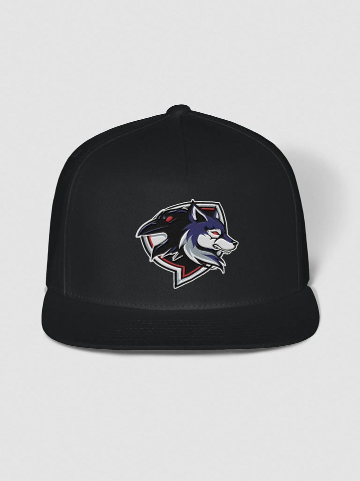 Raven Logo Snapback product image (1)