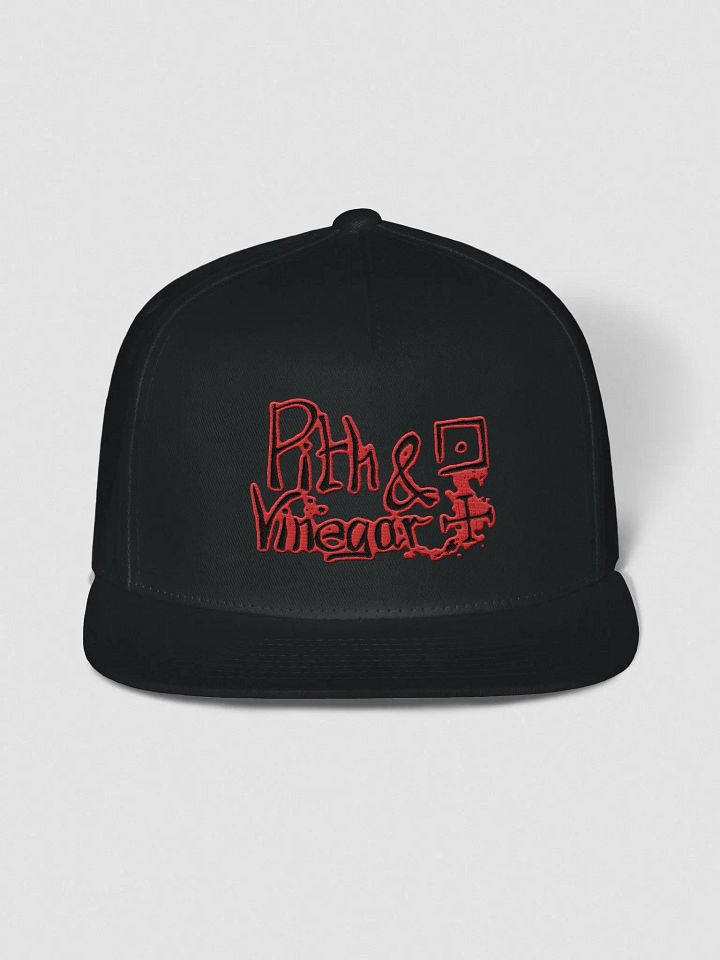 Pith & Vinegar snapback product image (7)