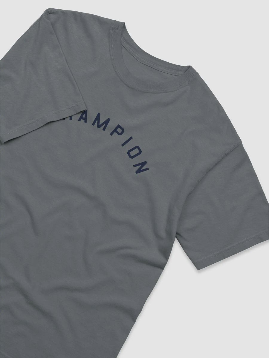 Champion T-Shirt on Gray/White/Ivory product image (8)