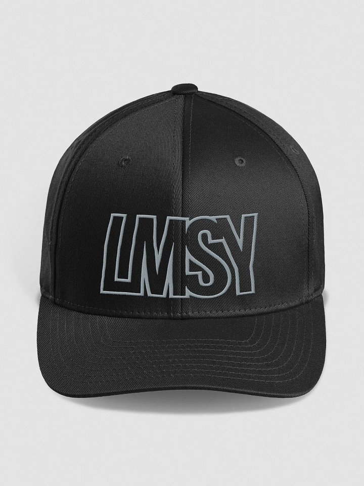 LMSY - "Let Me Show You" structured hat. product image (1)