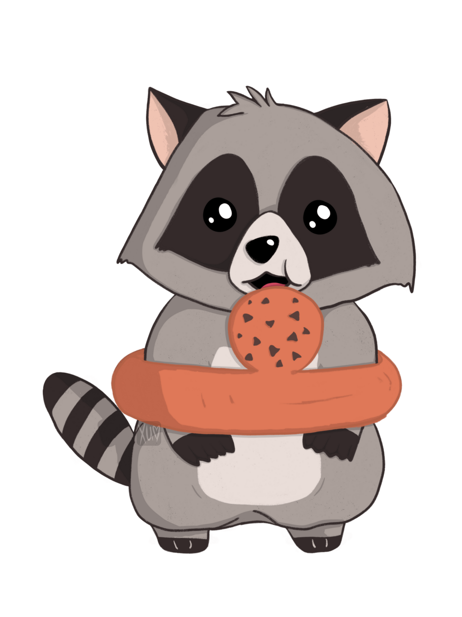 Summer Raccoon product image (1)