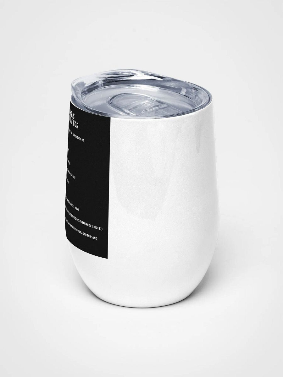 HR Responsibilities Unveiled: Wine Tumbler Edition product image (5)