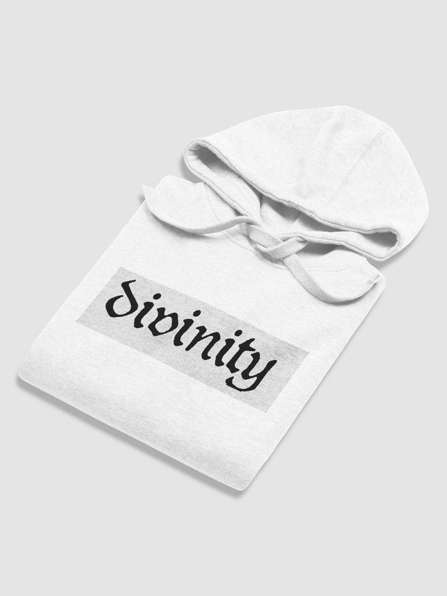 divinity white logo hoodie product image (5)