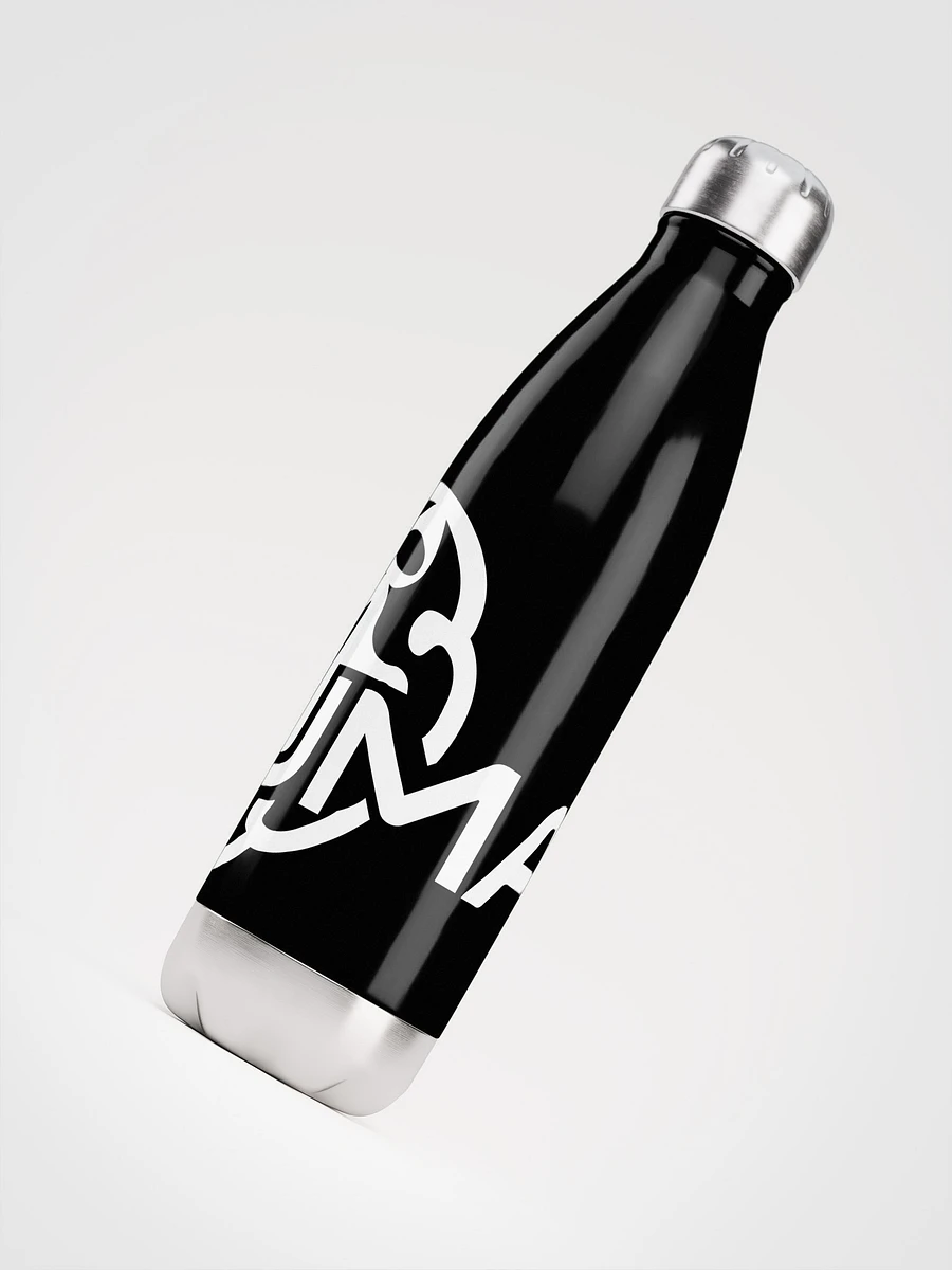 Stainless Steel Water Bottle product image (4)