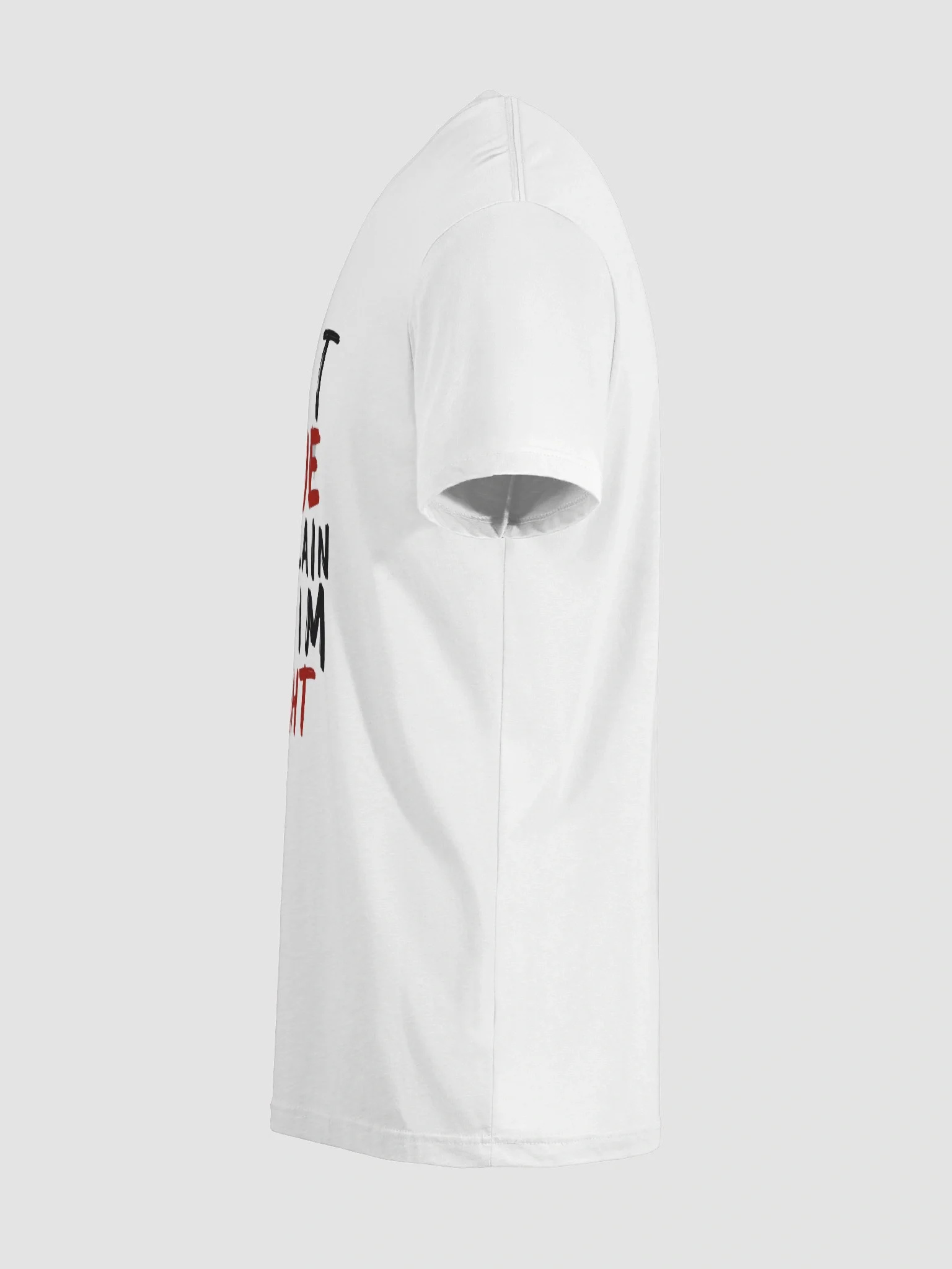 I Don’t Argue” Bold Typography Design product image (7)