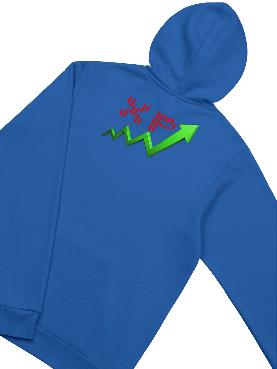 XP Hoodie product image (2)