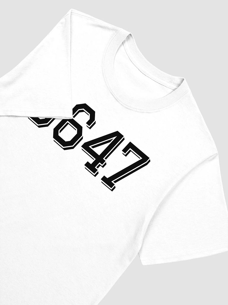 8647 Shirt product image (4)