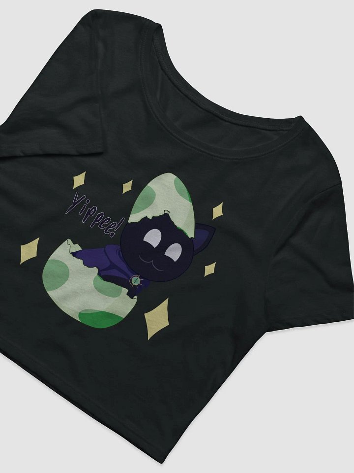 Shiny YIPPEE Hatched - Cropped Blorbo Shirt product image (2)
