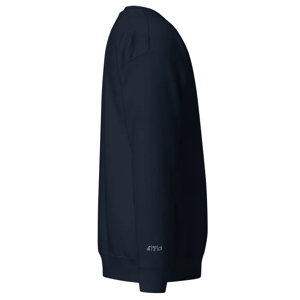 Cdog Spins Sweatshirt Embroided Navy Full Logo product image (2)