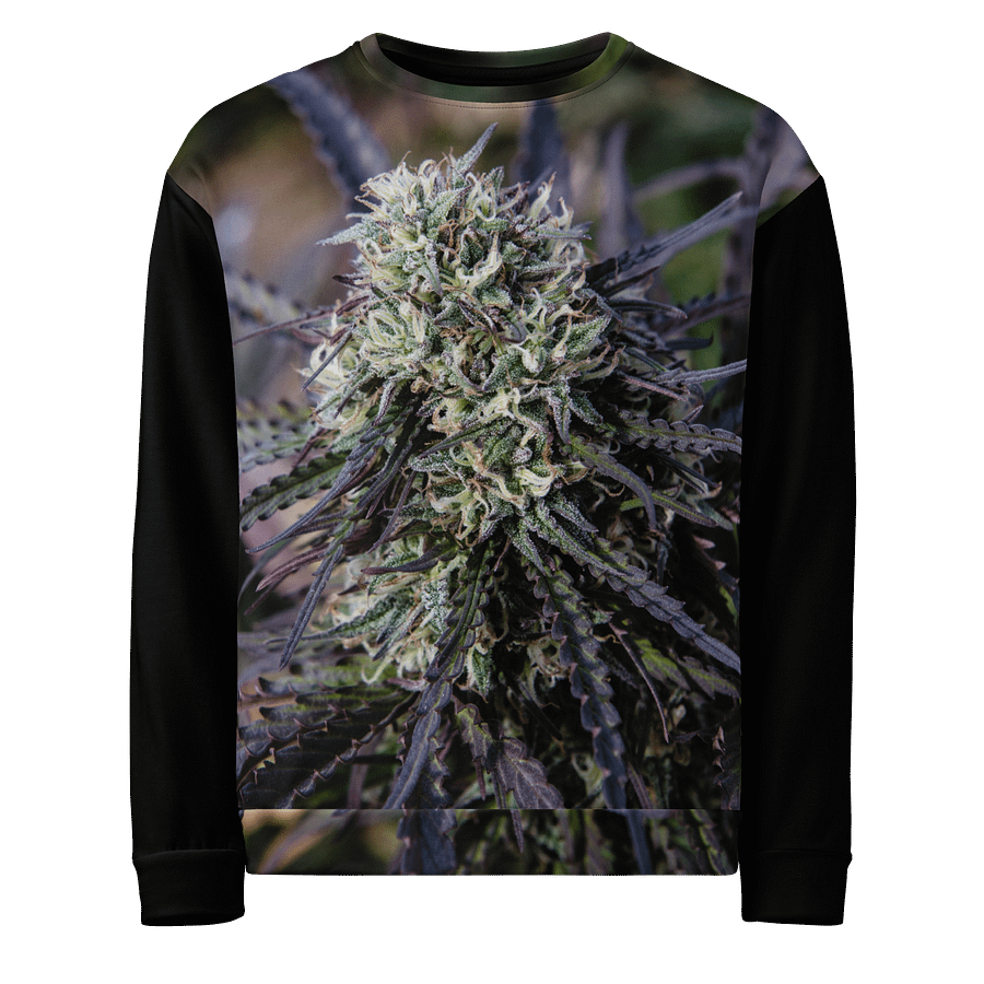 Royal Purple Cultivated Crewneck Sweatshirt product image (1)