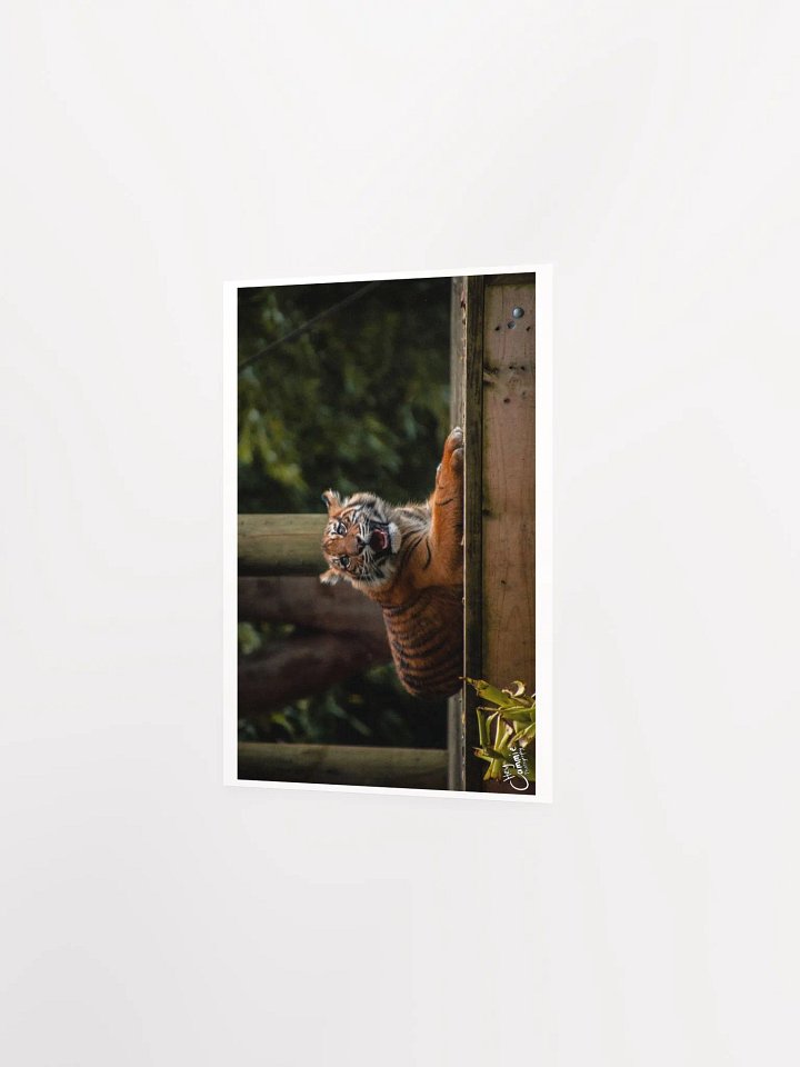 The Happy Cub - Print product image (2)