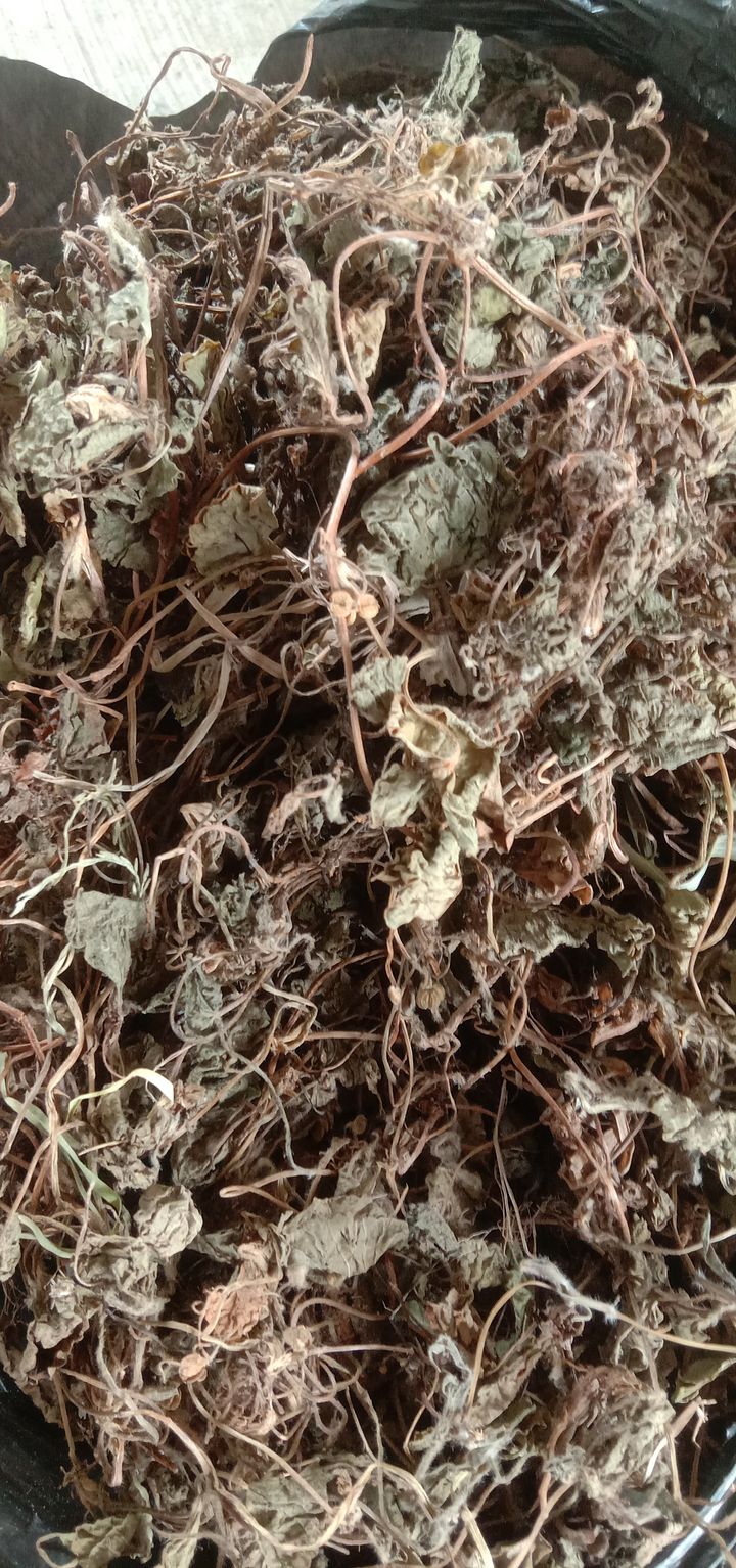 Daun pegagan kering 500 gram product image (1)