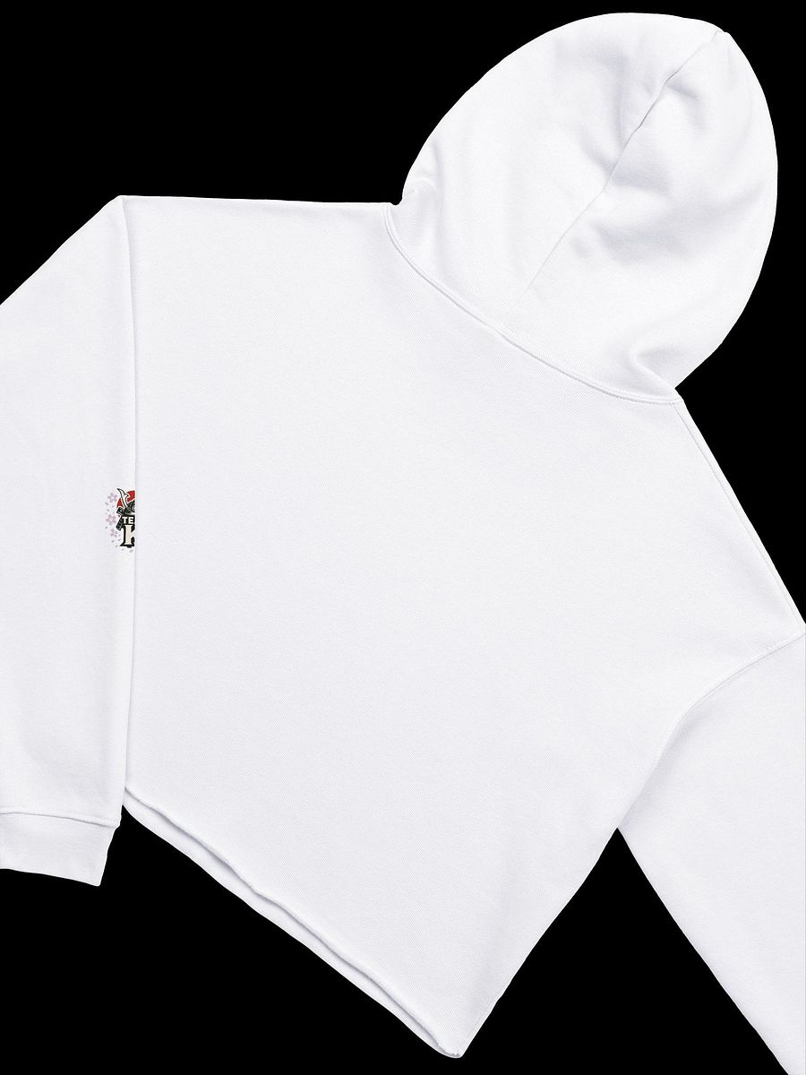 Team K Japan Crop Hoodie product image (32)