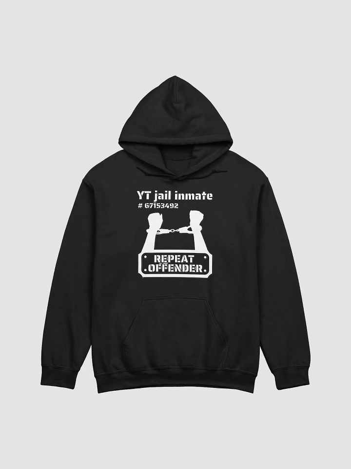 YT JAIL INMATE REPEAT OFFENDER product image (3)