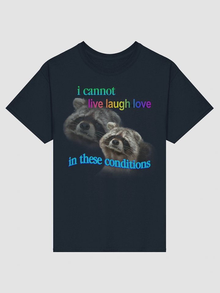 I cannot live laugh love in these conditions - raccoon T-shirt product image (98)