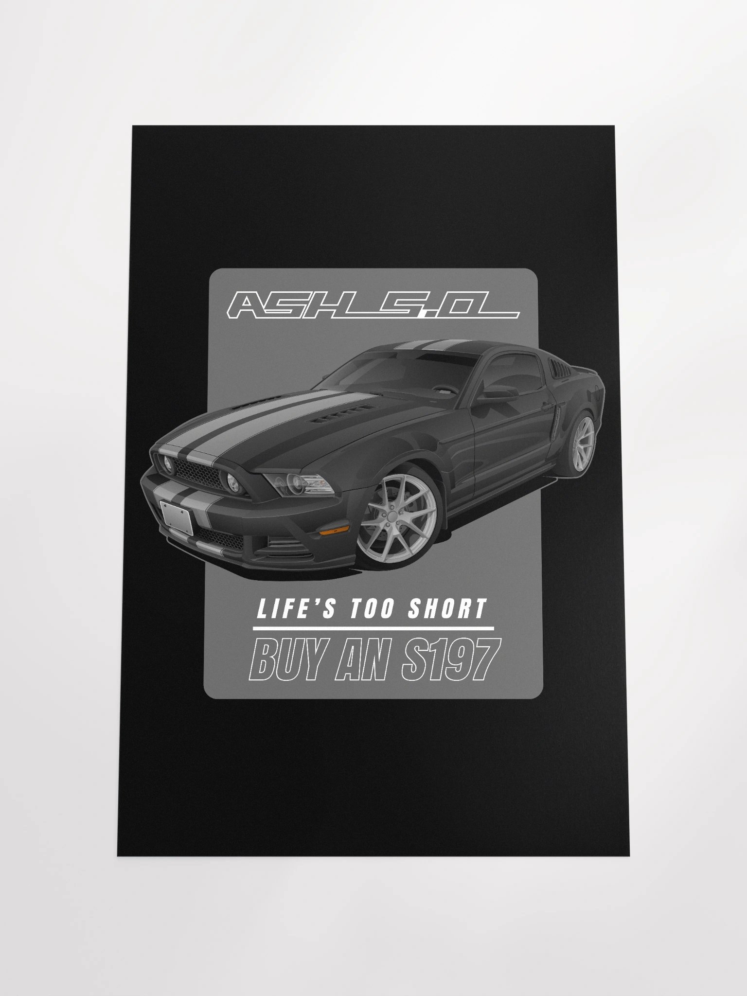 Poster - Ashton's S197 product image (4)