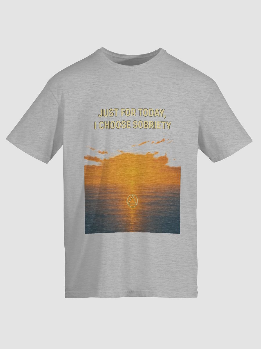 Just for Today I Choose Sobriety product image (6)