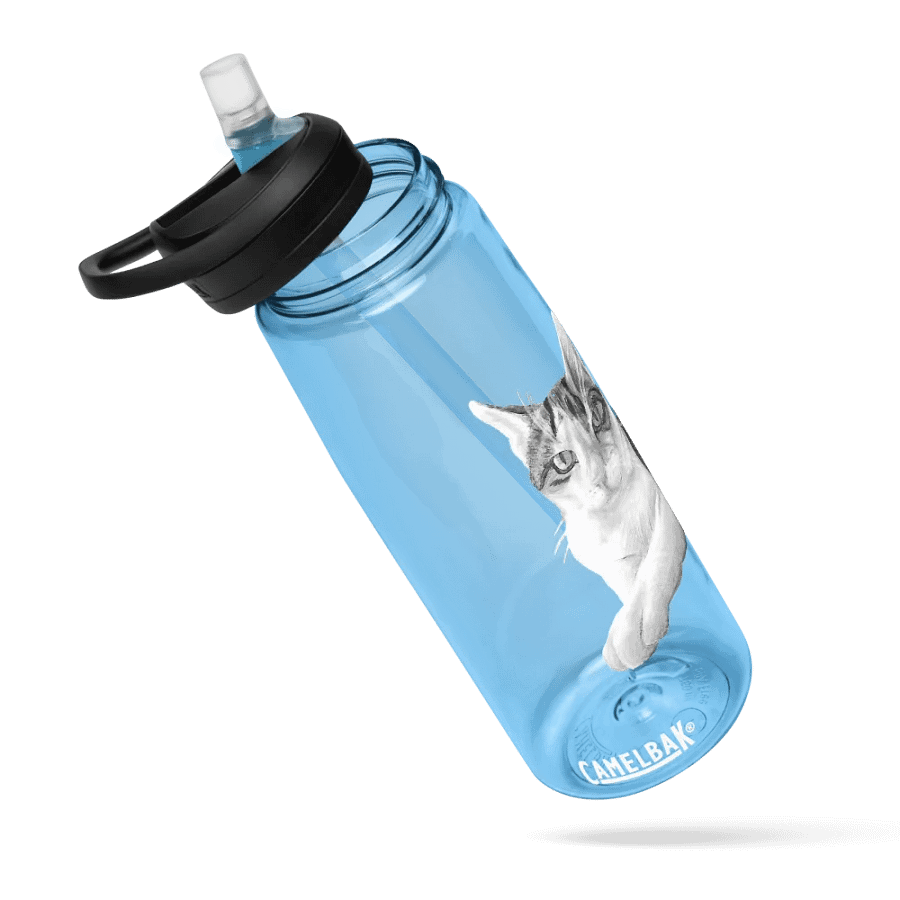 Cat Drawing Water Bottle Straw product image (63)