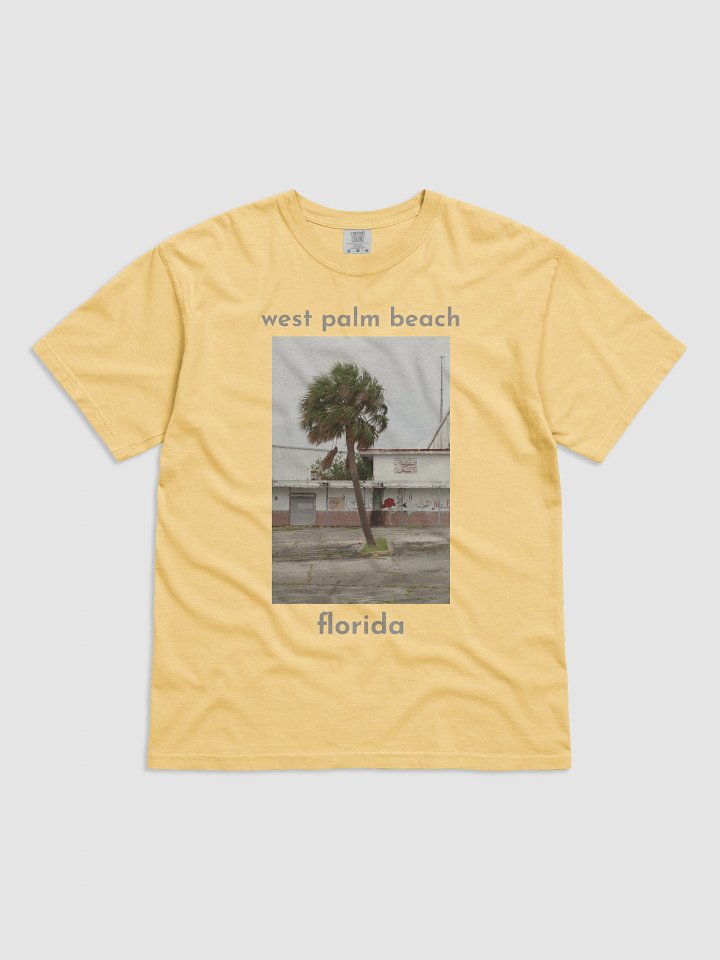 Palm Beach Tee product image (61)