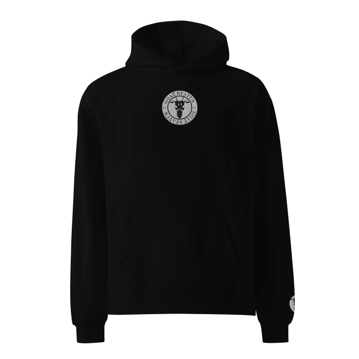 Unisex Premium Oversized Hoodie product image (1)