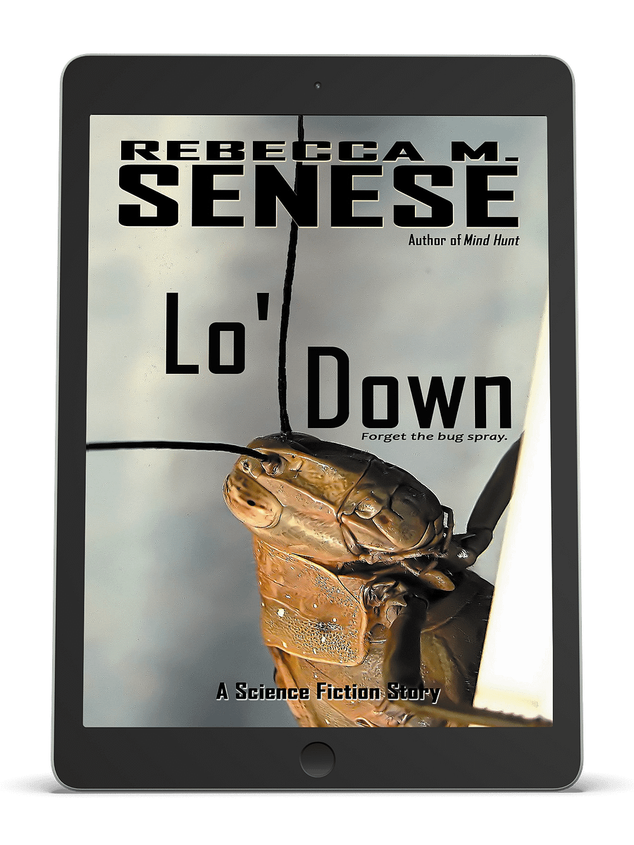 Lo' Down product image (1)