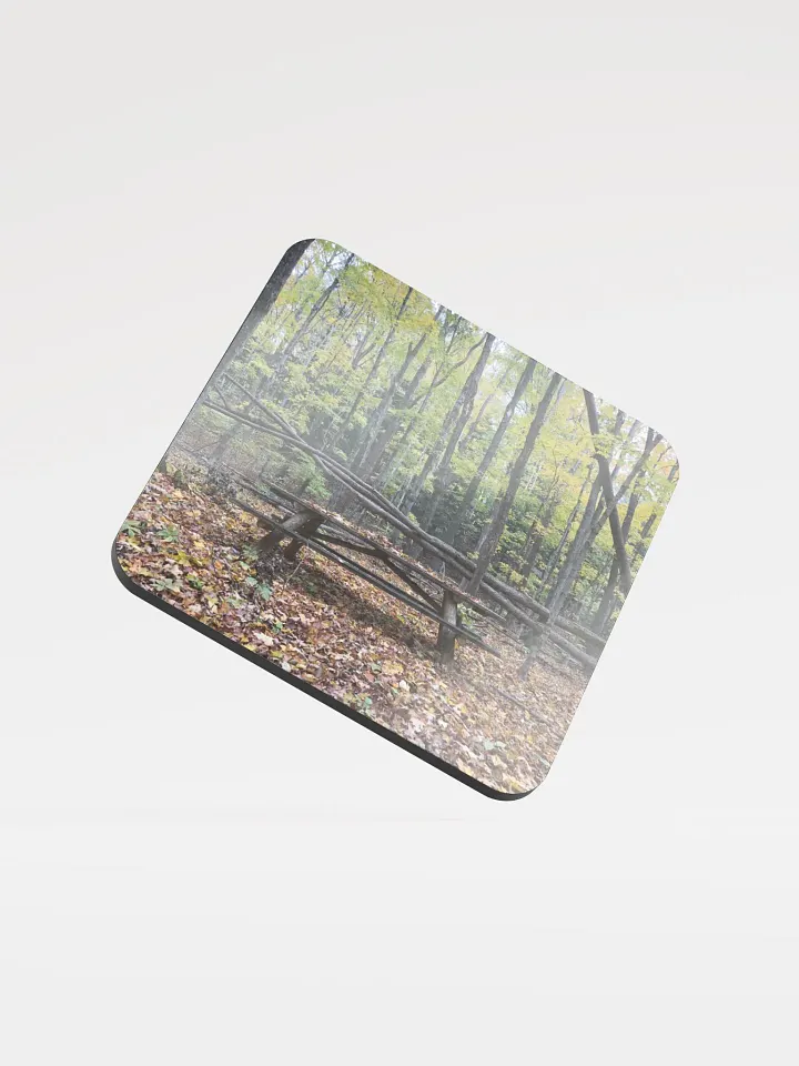 Picnic Table in the Fall Cork Coaster product image (1)