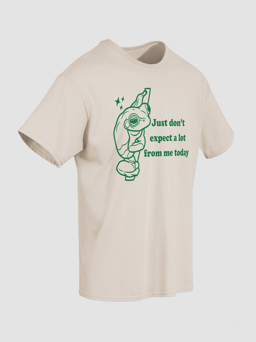Just dont expect a lot from me today product image (30)