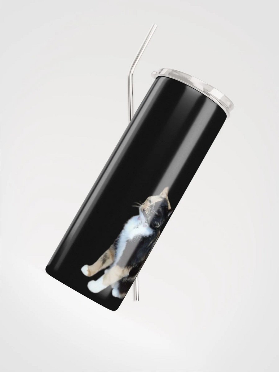 Lyra Judgment Stainless Steel Tumbler product image (4)