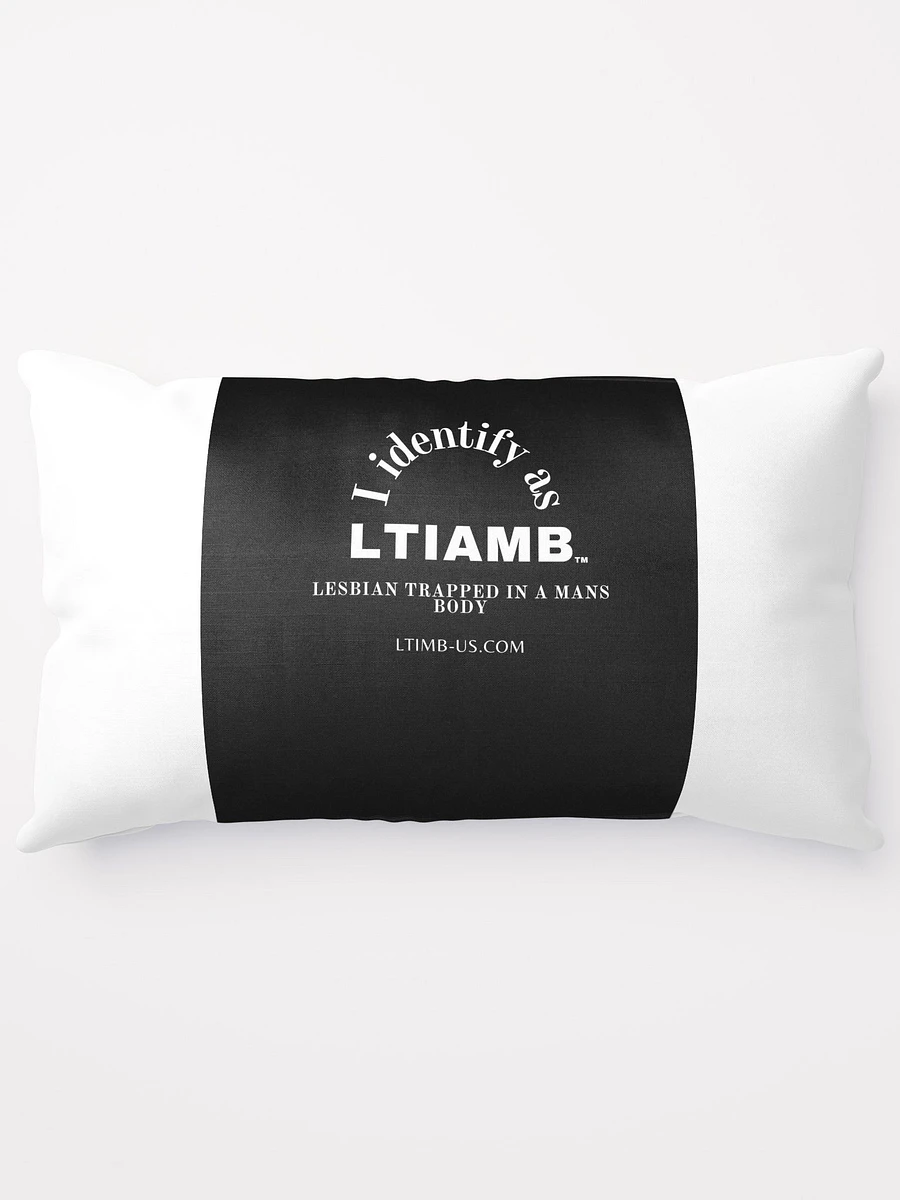 LTIAMB Pillow product image (13)