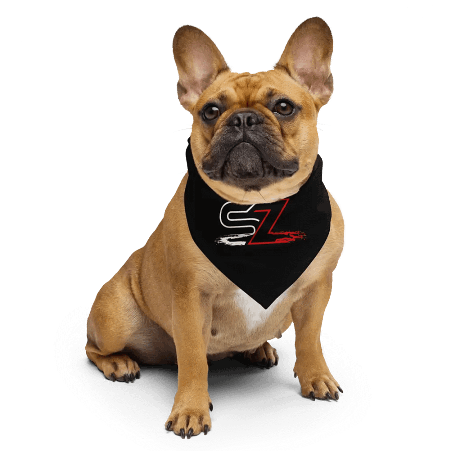 Bandana product image (4)