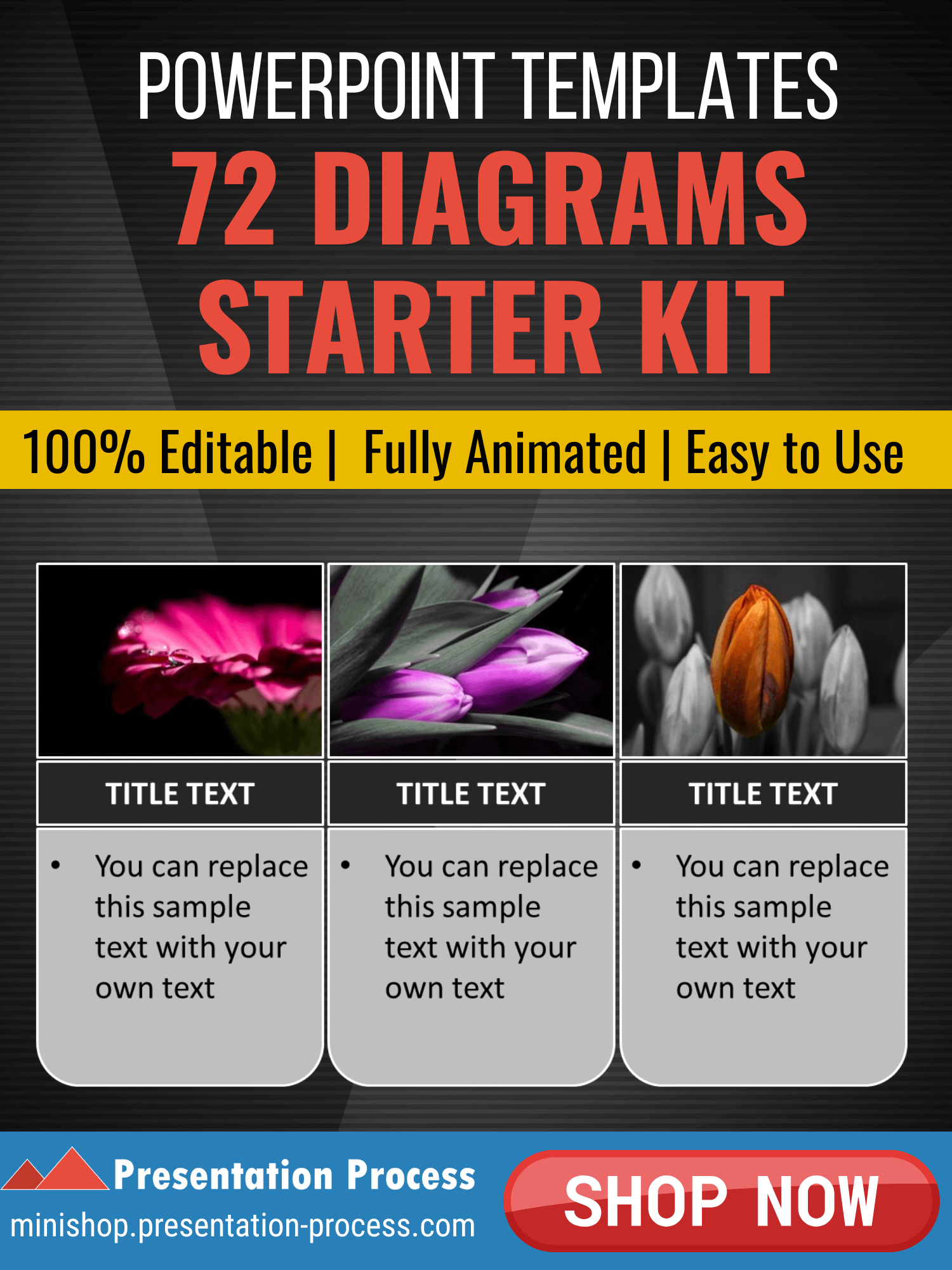 PowerPoint Templates Starter Kit product image (5)