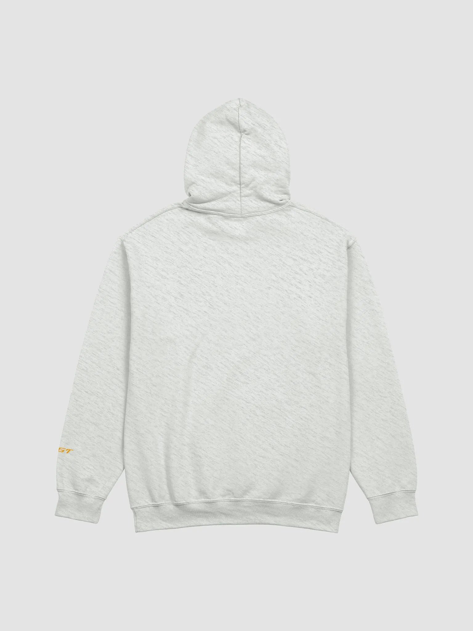 GULAG CHAMPION HOODIE product image (11)