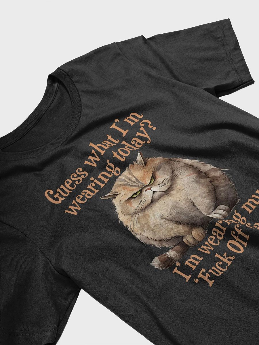 Grumpy Cat 'Fuck Off' Face T-Shirt product image (4)