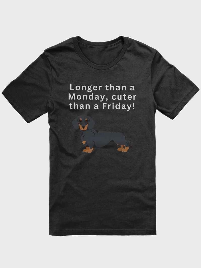 Dachshund dog T-shirt / dog t-shirt / funny t-shirt / pet t-shirt / animals t-shirt