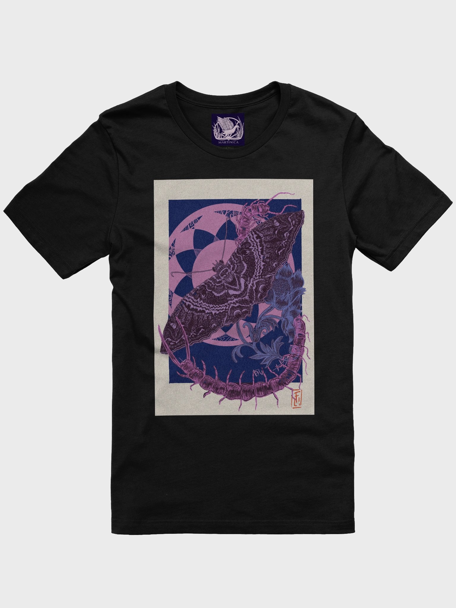 Polilla bruja y escolopendra product image (1)