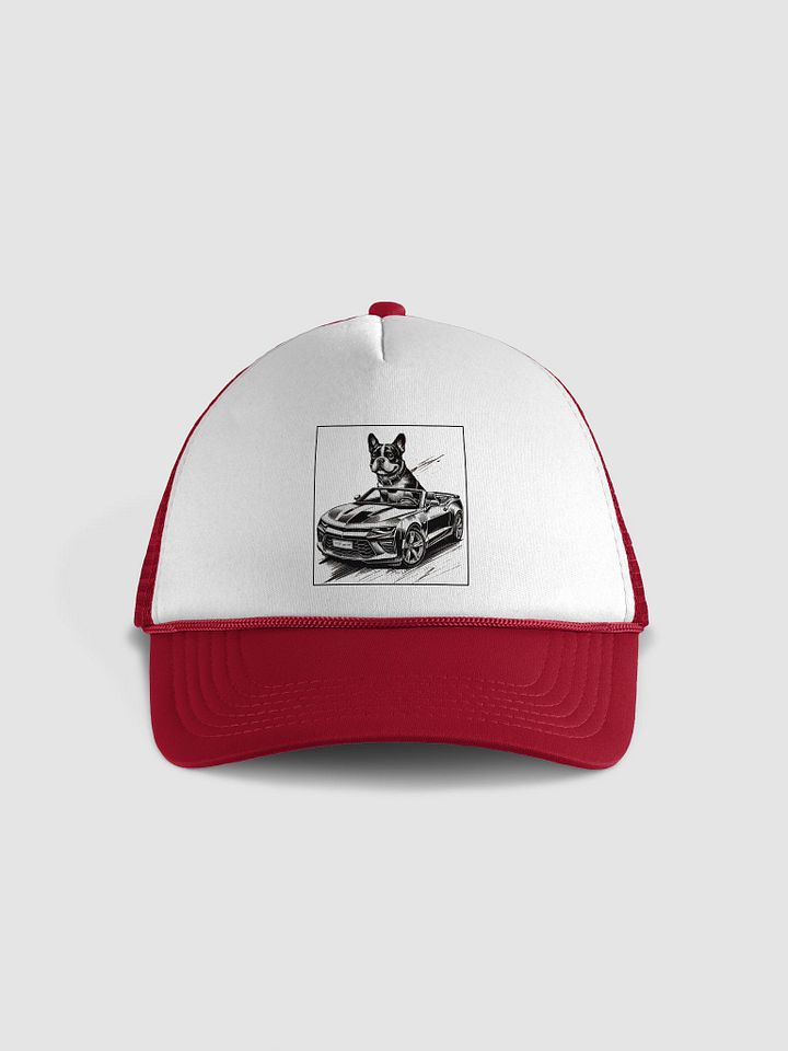 Boston Trucker Hat product image (2)
