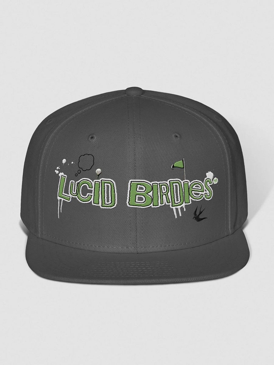 Lucid Birdies green streetwear logo snapback hat product image (1)