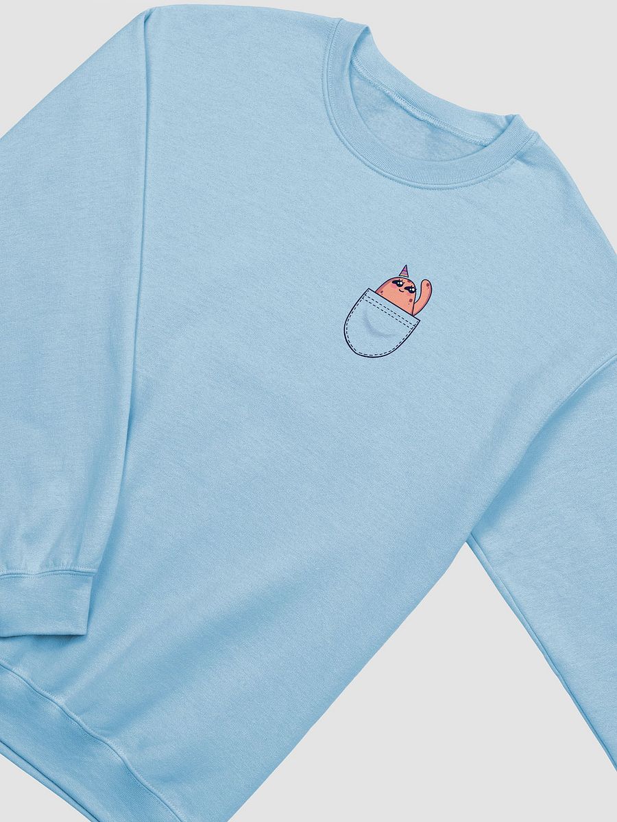 g_birb in my pocket sweatshirt! product image (9)